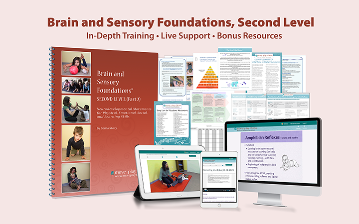 Brain and Sensory Foundations, In-depth training in reflex integration and innate rhythmic movements, Second Level.